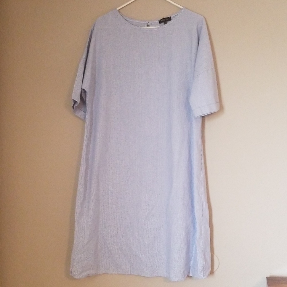 Roolee Blue & White Berkley Shift Dress Sz L